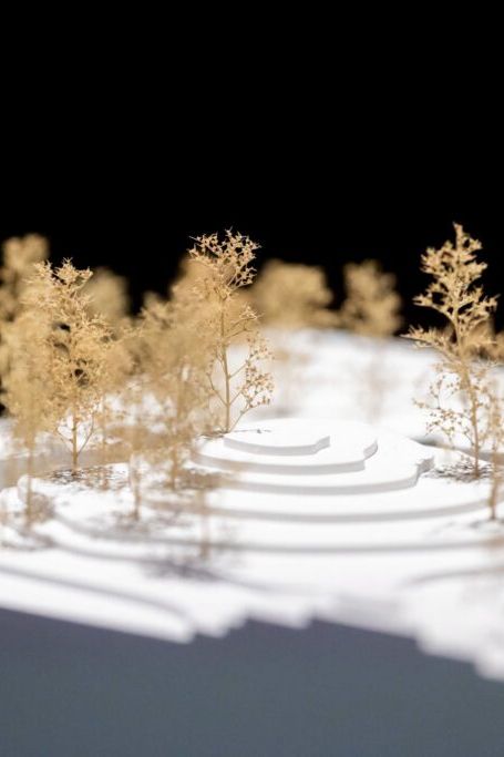 Makieta architektoniczna przedstawiająca białe, wielopoziomowe warstwy, na których rozmieszczone są miniaturowe drzewka z drutu, na czarnym tle.