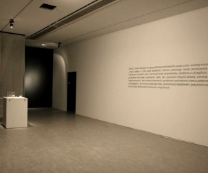 Przestrzeń wystawy LOCIS, praca Liliana Piskorska